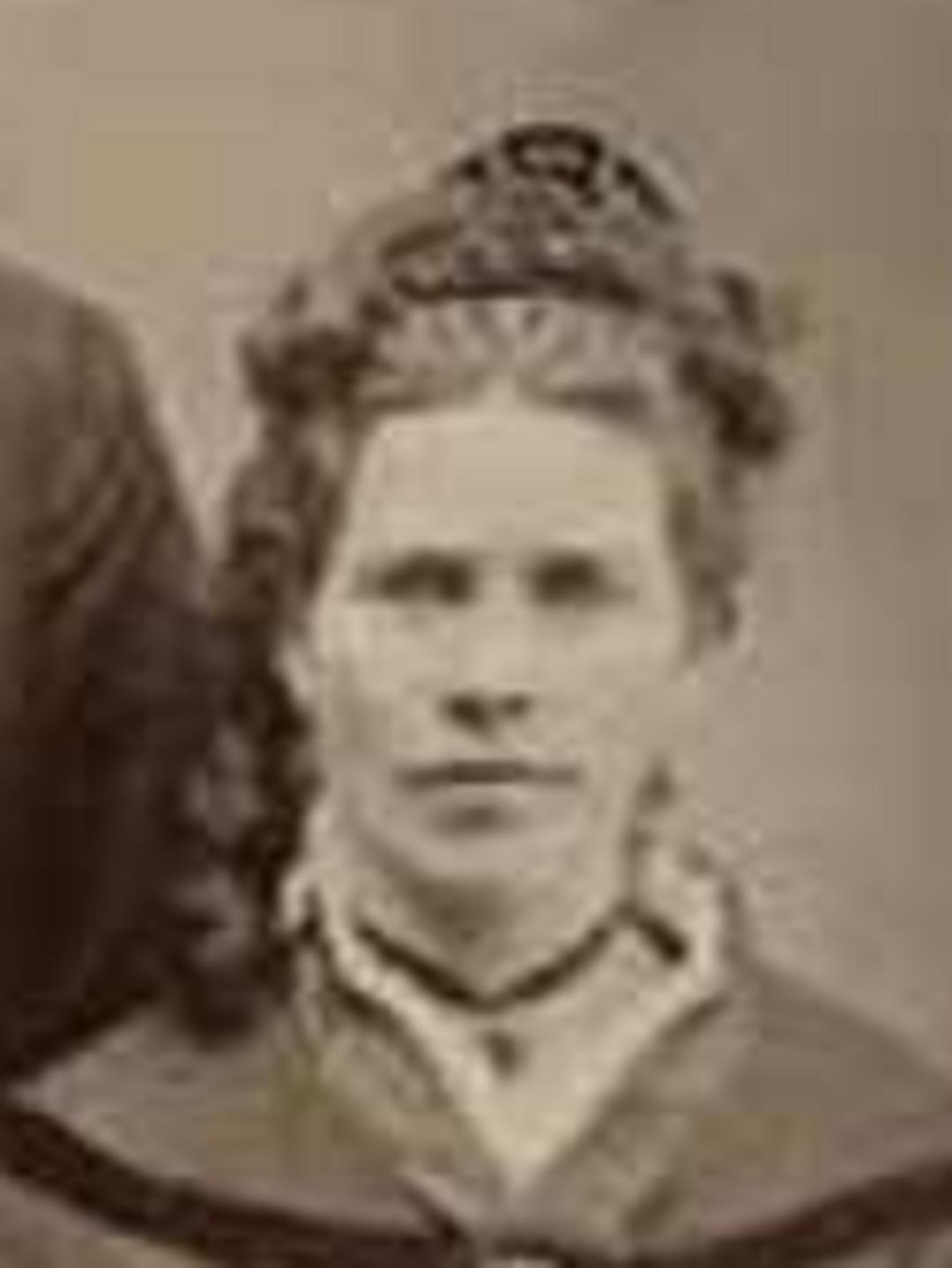 Lillis Alvira Andre (1832 - 1921) Profile